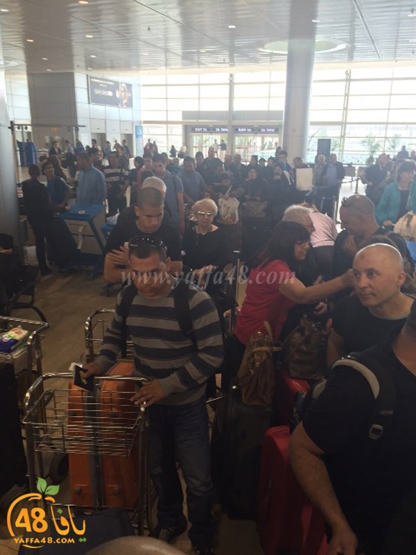 lud 3omra plane lud (10).jpg